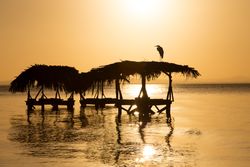 Laundry in sea at sunset