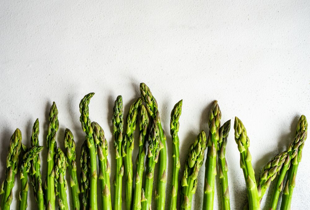 Line of fresh asparagus