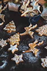 Tasty ginger cookies with icing and sugar dusting