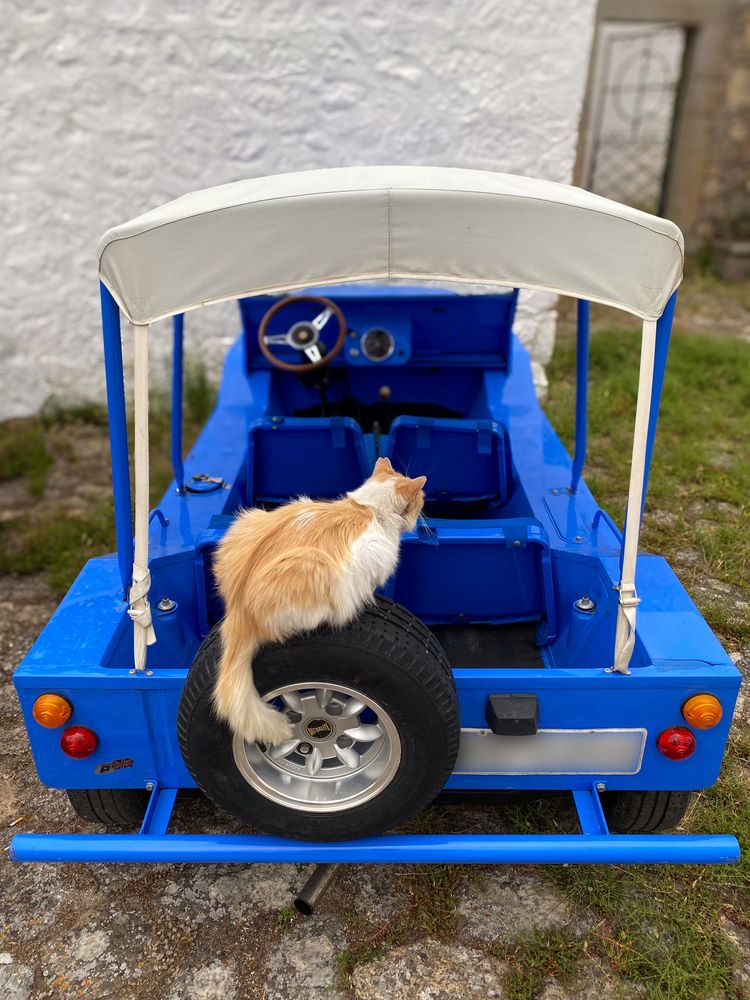Cat resting on mini Moke