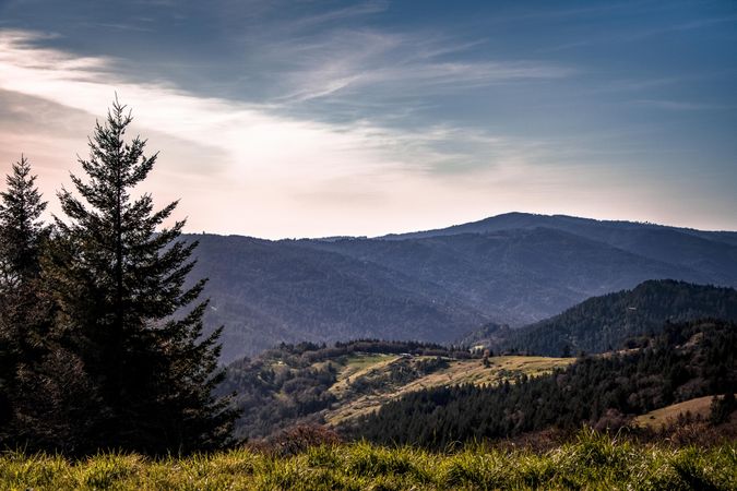 Scenic view of tree topped mountains