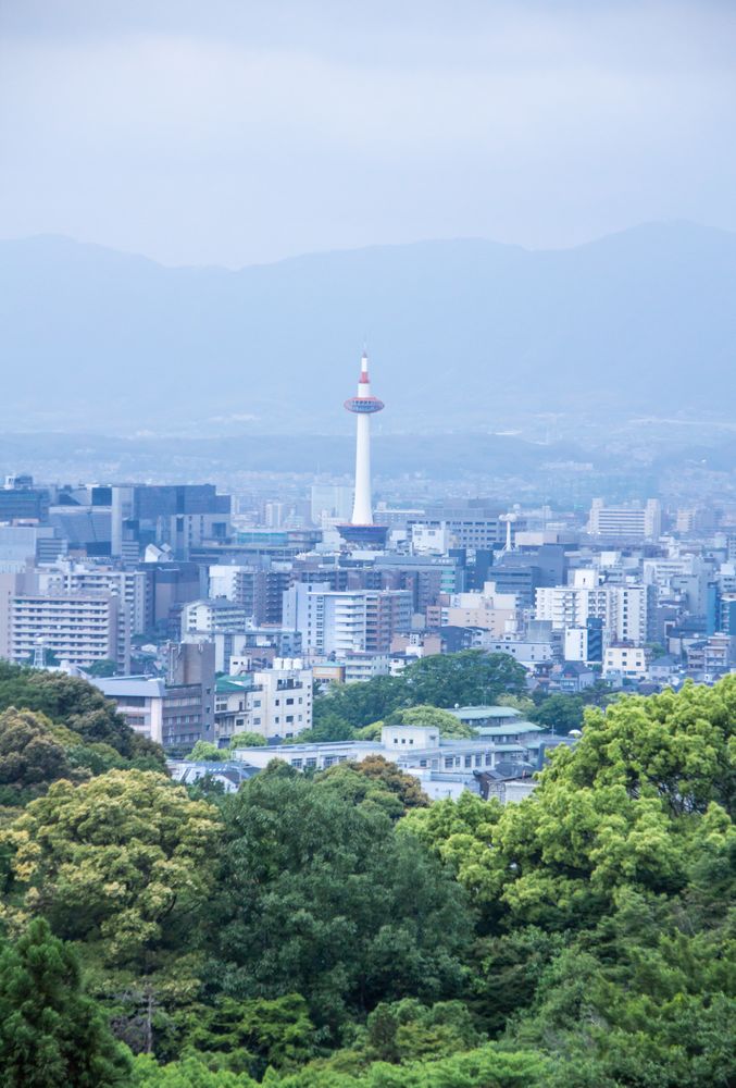 View of forest and modern city