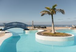 Palm and bridge over pool