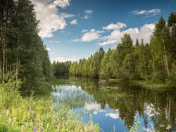 Summer landscape with river and forest