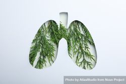 Lung shape cut out of paper with green plant underneath 5wJmW0