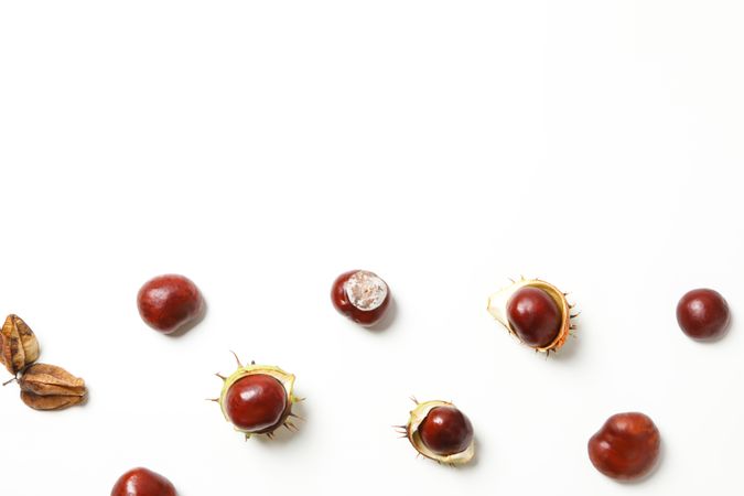 Fresh and ripe chestnuts, space for text