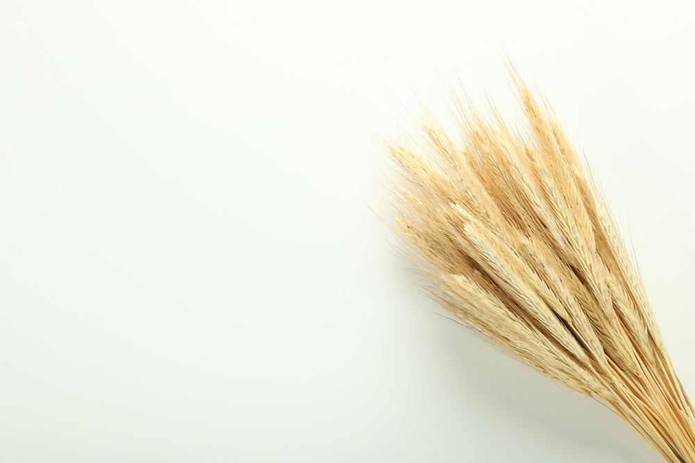 Top view of bunch of dried flowers with copy space