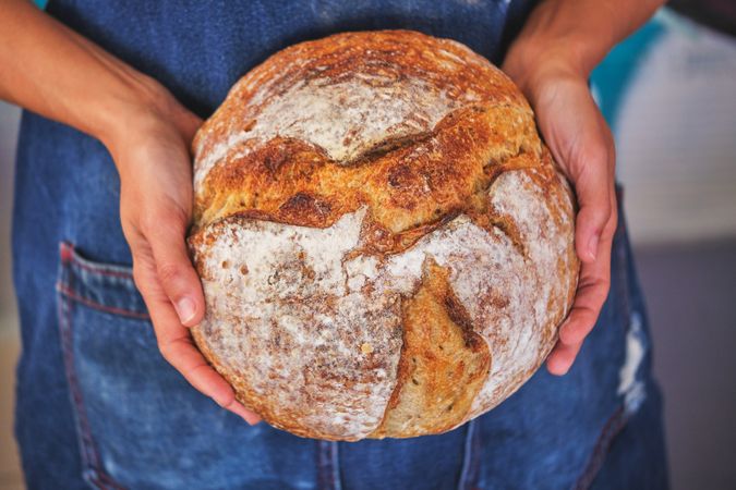 Photo detail of female hands holding an artisan bread broken in half with a blue kitchen apron.