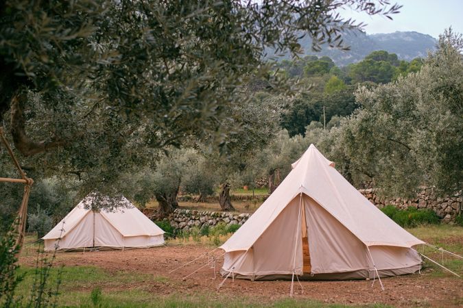 tent fixed on ground in forest area