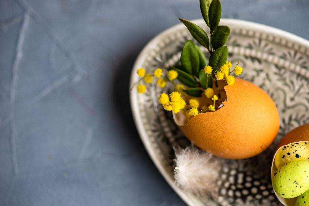Decorative egg shell with foliage on patterned plate