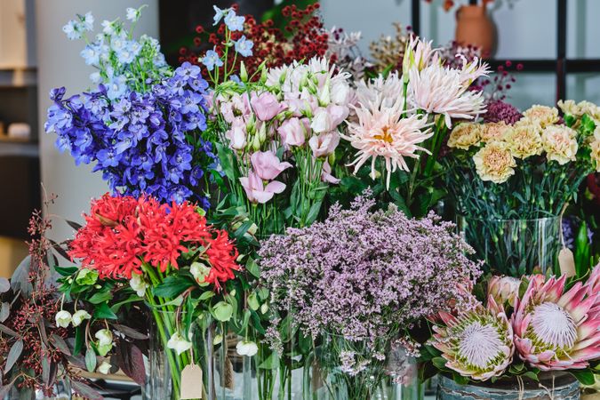 Various blooming flowers in floral shop