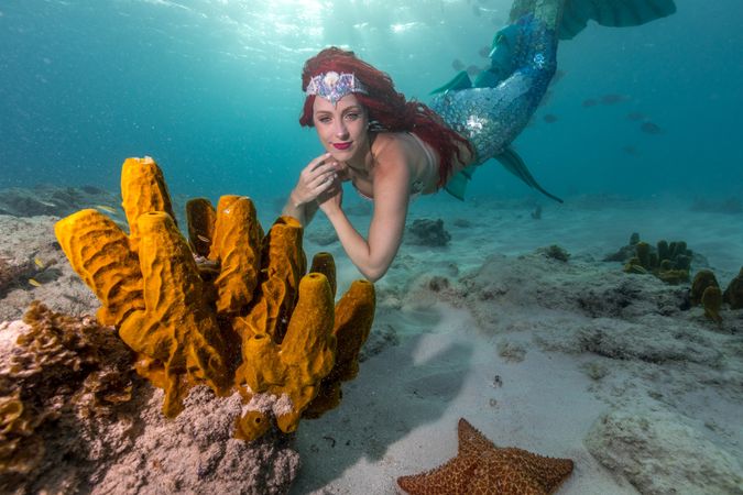 Redhead fairytale female mermaid swimming beside starfish