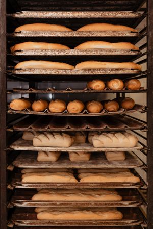 Shelves with fresh bread and buns