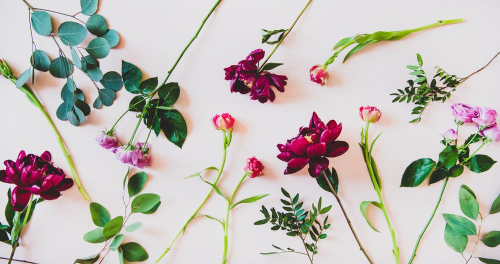 Various sorted single summer flowers flat-lay