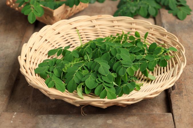 Closeup of Moringa Oleifera Leaves or Drumstick Tree Leaves