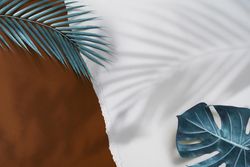 Tropical palm leaves and shadow on brown and light torn paper background