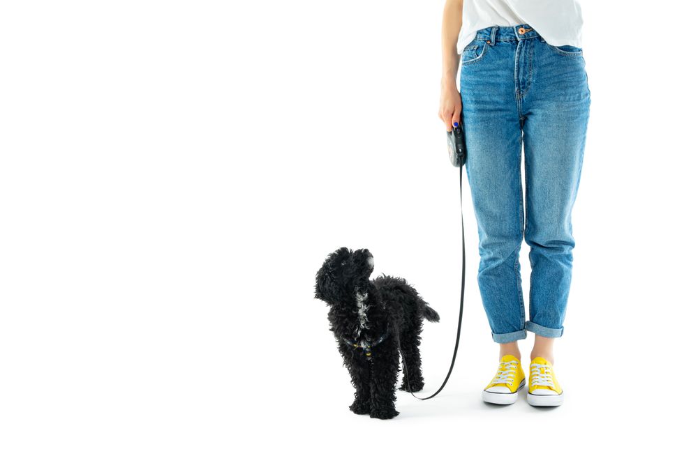 Female with dog on leash