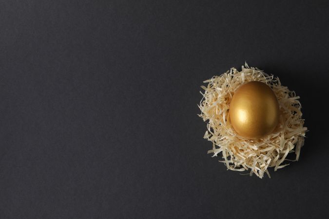Concept of Richness, golden eggs, space for text