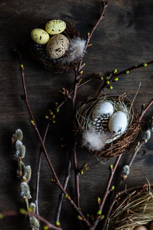 Nest with eggs and branches of pussy willow on wooden table