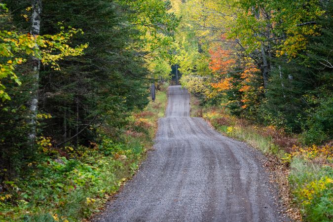 Quiet rural road in the fall
