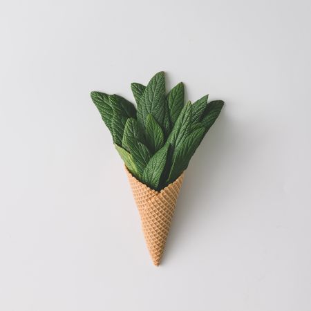 Ice cream cone with green leaves on bright background