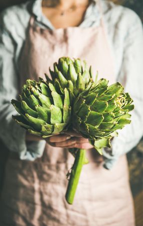 Close up of woman in apron holding green artichokes