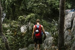 Man on cliff near plants in forest