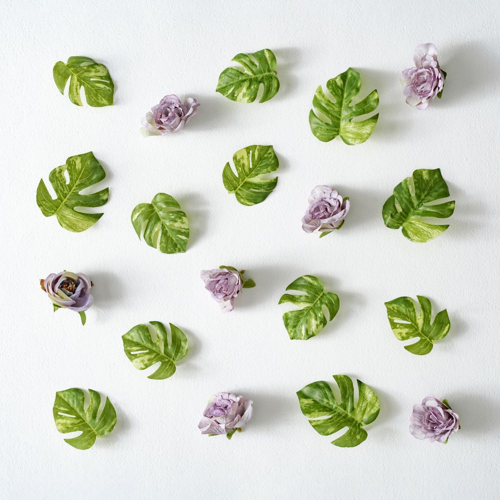 Monstera leaves and purple flowers on light background