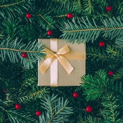 Christmas pine tree and holly branches with brown present with ribbon
