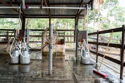Empty Milking Parlor in a Dairy Farm. Natural Surrounding