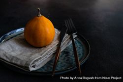 Single squash in elegant decorative autumnal table setting 5qgQpb