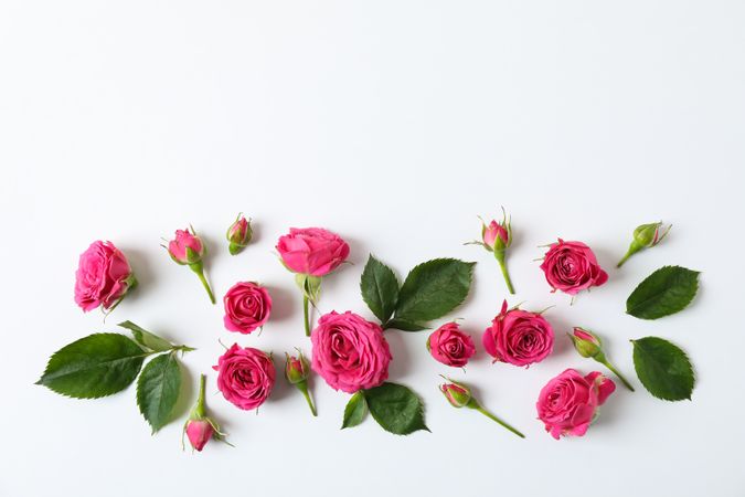 Flat lay composition with roses and petals on light background, space for text