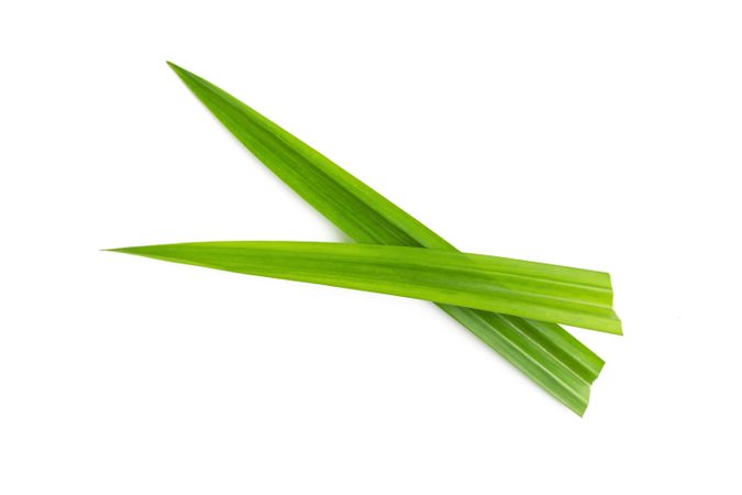 pandan