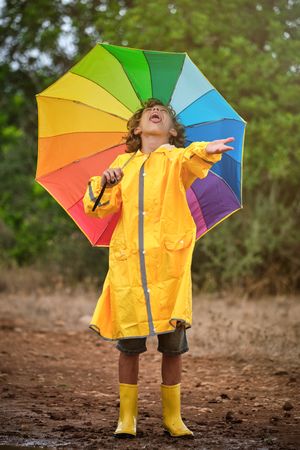 Little boy with umbrella in countryside