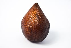 Single salak, snake skin fruit