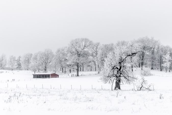 Red barn in a snowy field