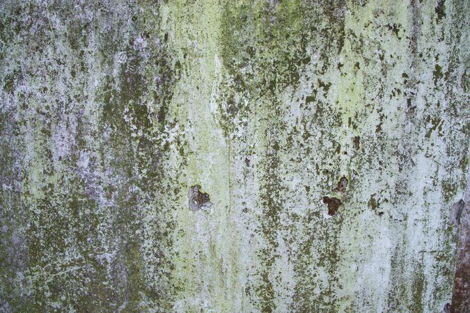 Old Grunge wall abstract Texture Can be used as a background wallpaper