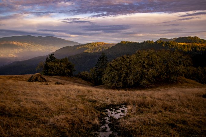 Beautiful view of field atop mountains on a foggy morning