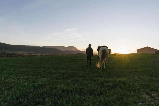 Old man on horse in field