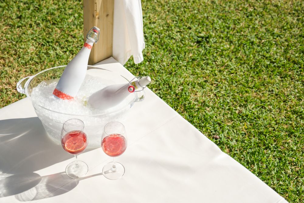 Glasses of wine on canopy bed