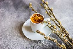Cup of espresso and pussywillow on grey background with copy space