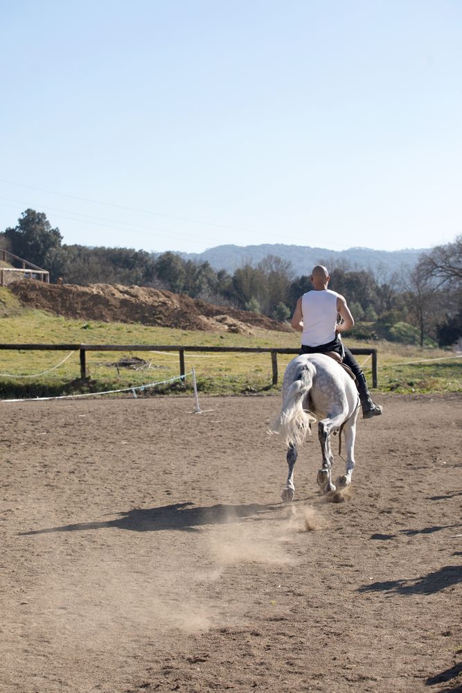 Back of man in casual outfit riding horse on sandy ground