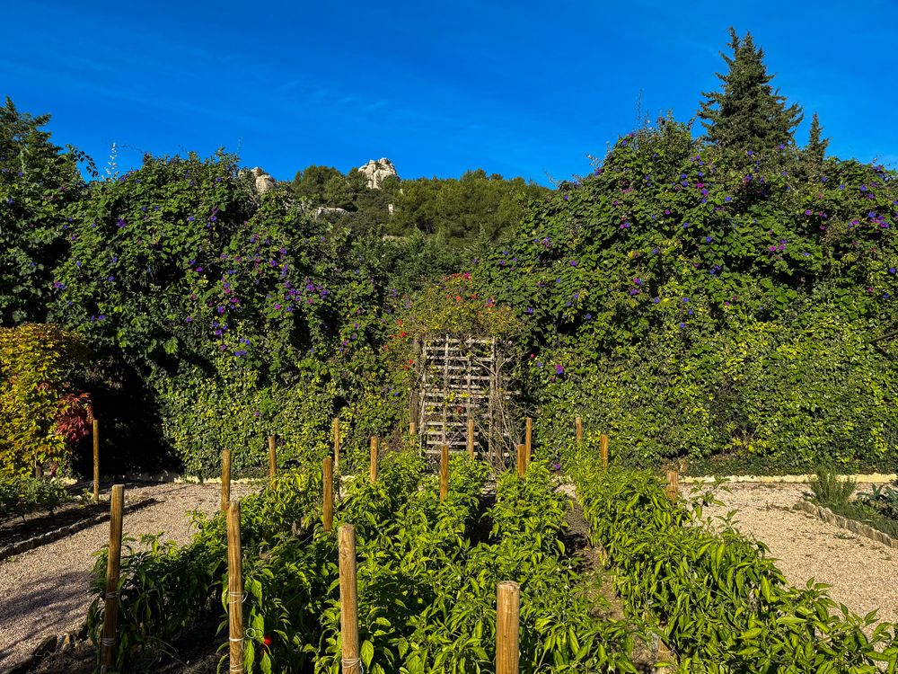 Herb, vegetable and fruit garden in the Baux-de-Provence