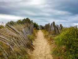 The coastal path at dawn, La Couarde sur Mer, France
