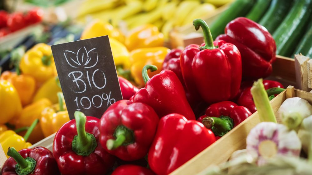 100% Bio Sign on a Food Stall with Fresh Red and Yellow Organic Sweet Bell Peppers from a Local Farm.