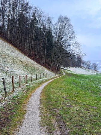 Hill Path to Gruyères, FR