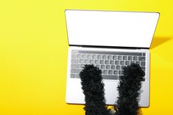 Dog using laptop with mockup screen