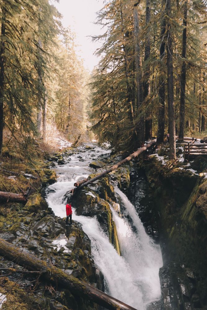 Person standing beside waterfall