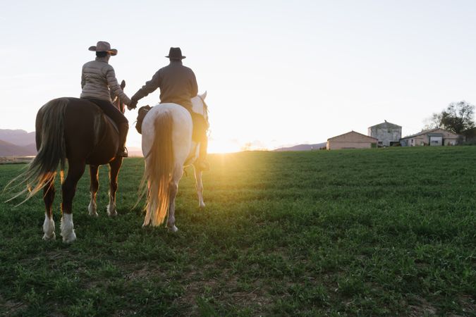 People on horses holding hands
