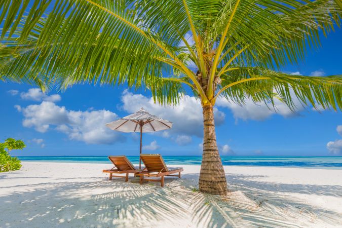 Two reclining chairs under a palm tree on the beach